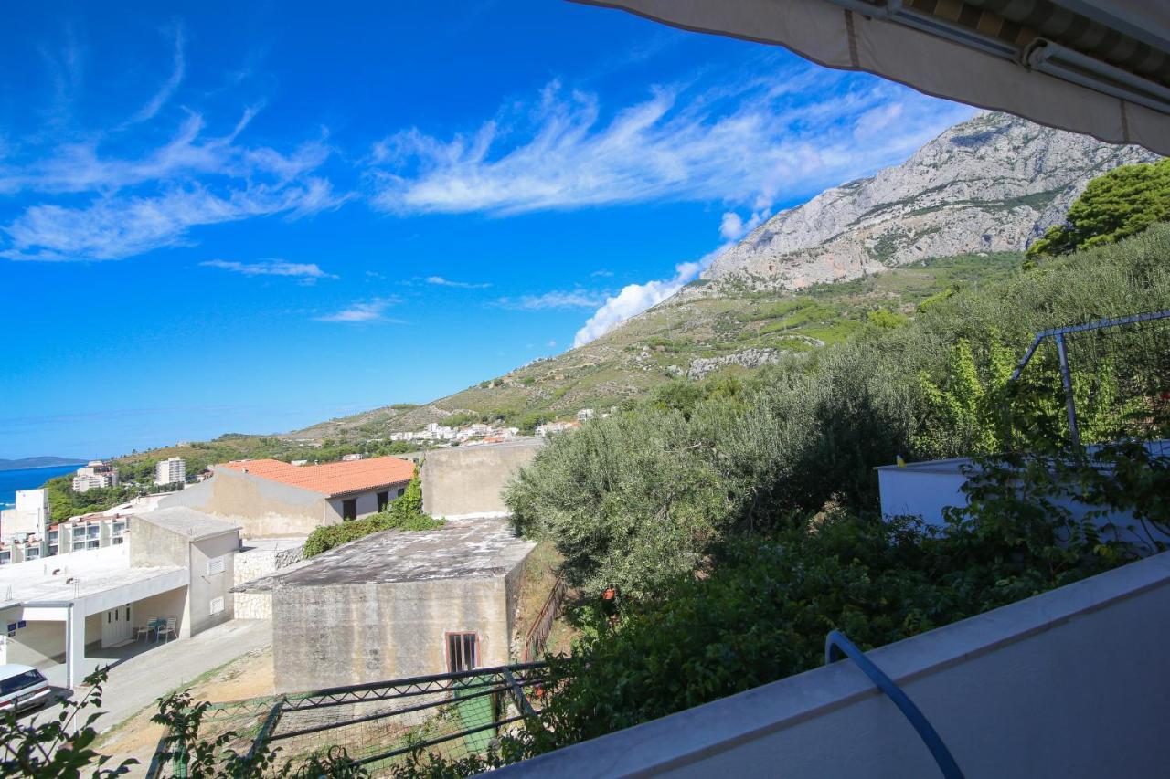 Viola Apartament